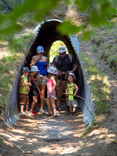 0801 - Severence Hike - Fishers